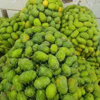 انبه سبز