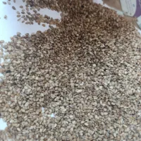 کنجد سفید و کرم مخصوص نانوایی و روغن گیری|عمدهفروشی|تهران, سهروردی|دیوار