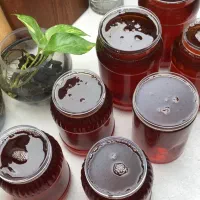 عسل طبیعی دماوند