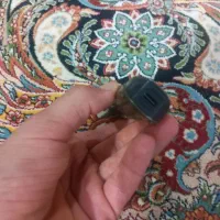 معاوضه با کبوتر