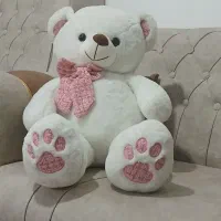 خرس سفید