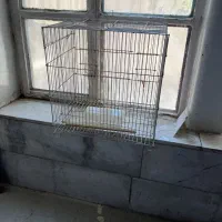 قفس پرنده