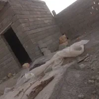 اوستا بنا
