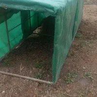 قفس مرغ و حیوانات.معاوضه با مرغ تخم گذار