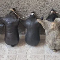 هیزه