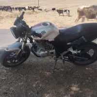 موتور