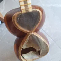 تار شوقی تک مهر