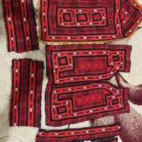زیاستین جوک خوش رنگ