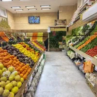 به یک همکار بارچین  حرفه ای نیاز مندیم