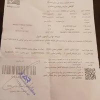 گاز سی ان جی ضبط پایینر دزگیر دوربین ثب وقایع|قطعات یدکی و لوازم جانبی|رشت, دیانتی|دیوار