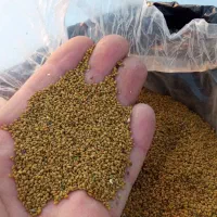 بذریونجه درجه یک