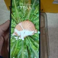 پوکو C71|موبایل|فردیس, طالقانی|دیوار