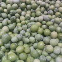 زیتون سبز سر درخت کیلو 130