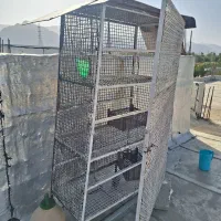 سلام قفس پرنده بزرگ به طول ۲متر وعرض ۱/3 متر