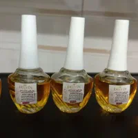 چهار معجزه از دل طبیعت برای تو