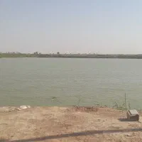 کوت سید نعیم جاده سوسنگرد