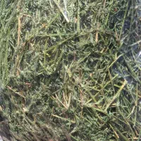 یونجه جوندگان - خرگوش - همستر - خوکچه - حلزون