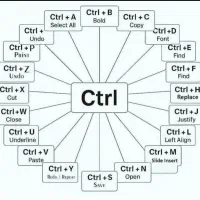 مهندس کامپیوتر مسلط به برنامه نویس