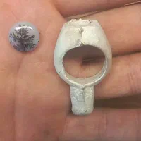 شجر ، انگشتر سازی