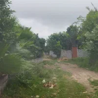 ۲۰۰۰متر باغ  درخت پالم نزدیک به انشعاب