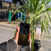 گوشی ردمی 13