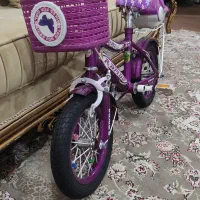 دوچرخه