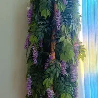 درختچه زینتی