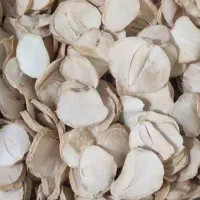 موسیر