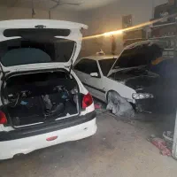 صافکار سنتی وارد مسلط به بی رنگی
