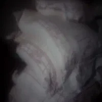 فروش ارد