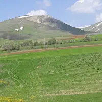 زمین کشاورزی معاوضه با تراکتور۲۸۵