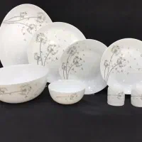 سرویس ارکوپال و لومینارک