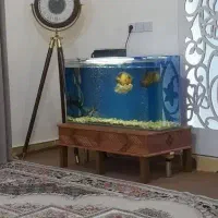 آکواریوم