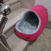 جای خواب سگ درحده نو