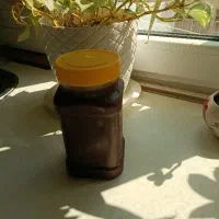 رب آلوچه طلایی(ترش و خوشمزه)