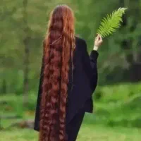 گیسو طلا *مو*