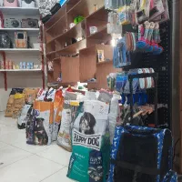 پت شاپ و کلینیک دامپزشکی هدهد