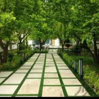 قطعه-زمین-یک-کیلومتری-امامزاده