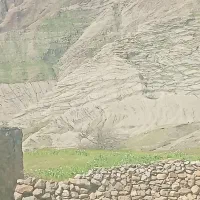میش