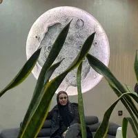 اجرای تخصصی پتینه و میکروسمنت