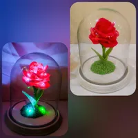 شب خواب ـ چراغ خواب|چراغ خواب و آباژور|قم, پردیسان|دیوار