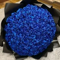 گل روبانی، روز دختر،گل