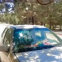 باطری ۶۶امپر پژو