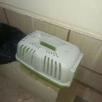قفس گربه و سگ