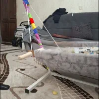 گهواره