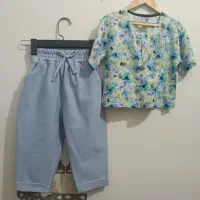 حرفه ای