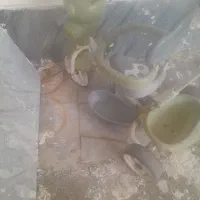 سه چرخه سالمه