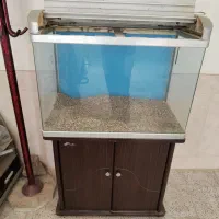 آکواریوم شیشه خم