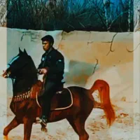 نریون استثنایی