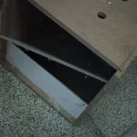 لانه عروس هلندی